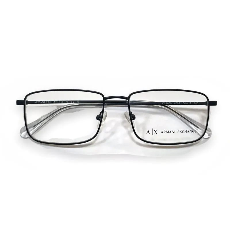 Armani Exchange AX1069 C6099